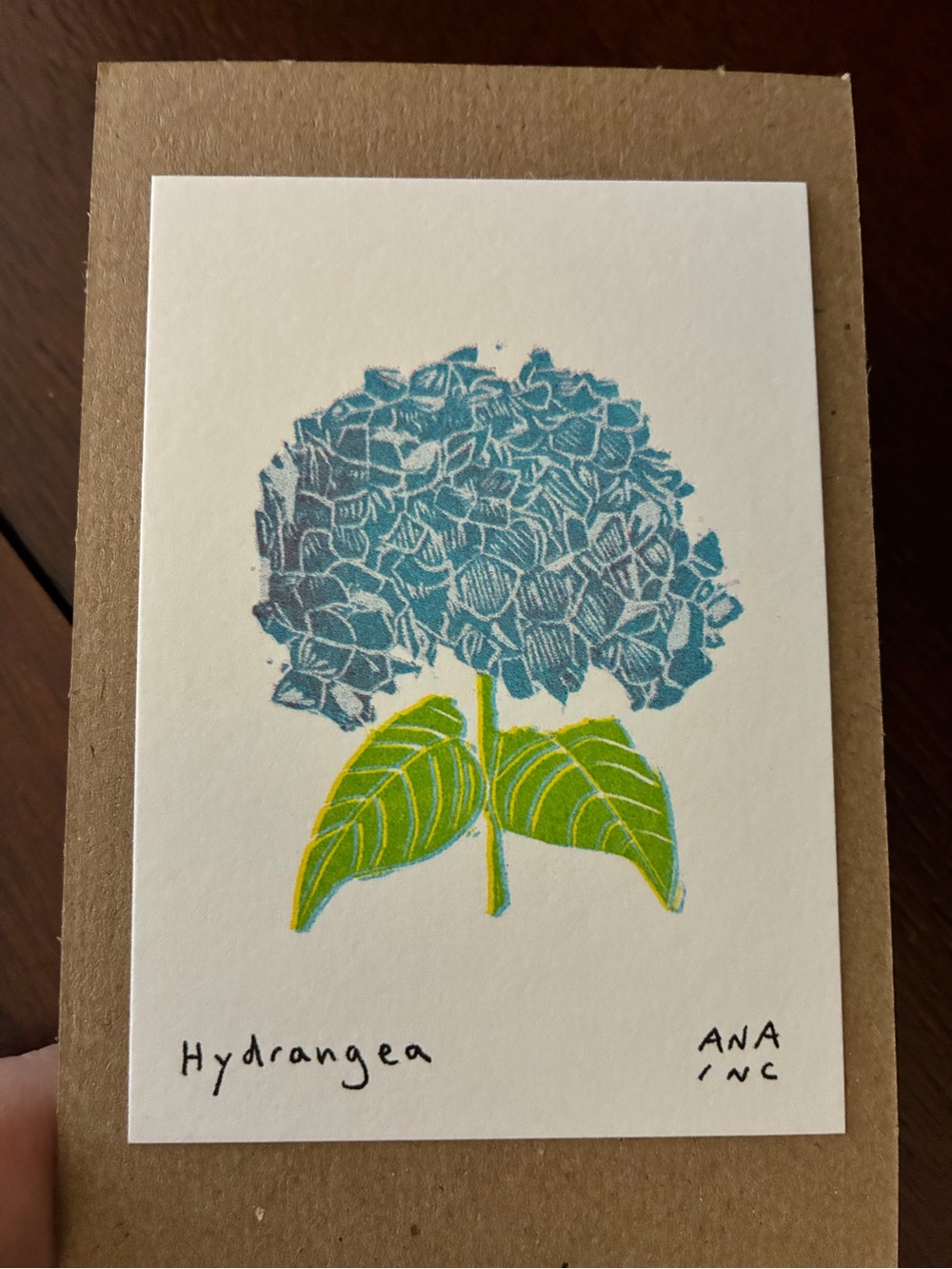 Anastasia Inciardi "Hydrangea"  Vending Machine Blue Flower Mini Print New Rare